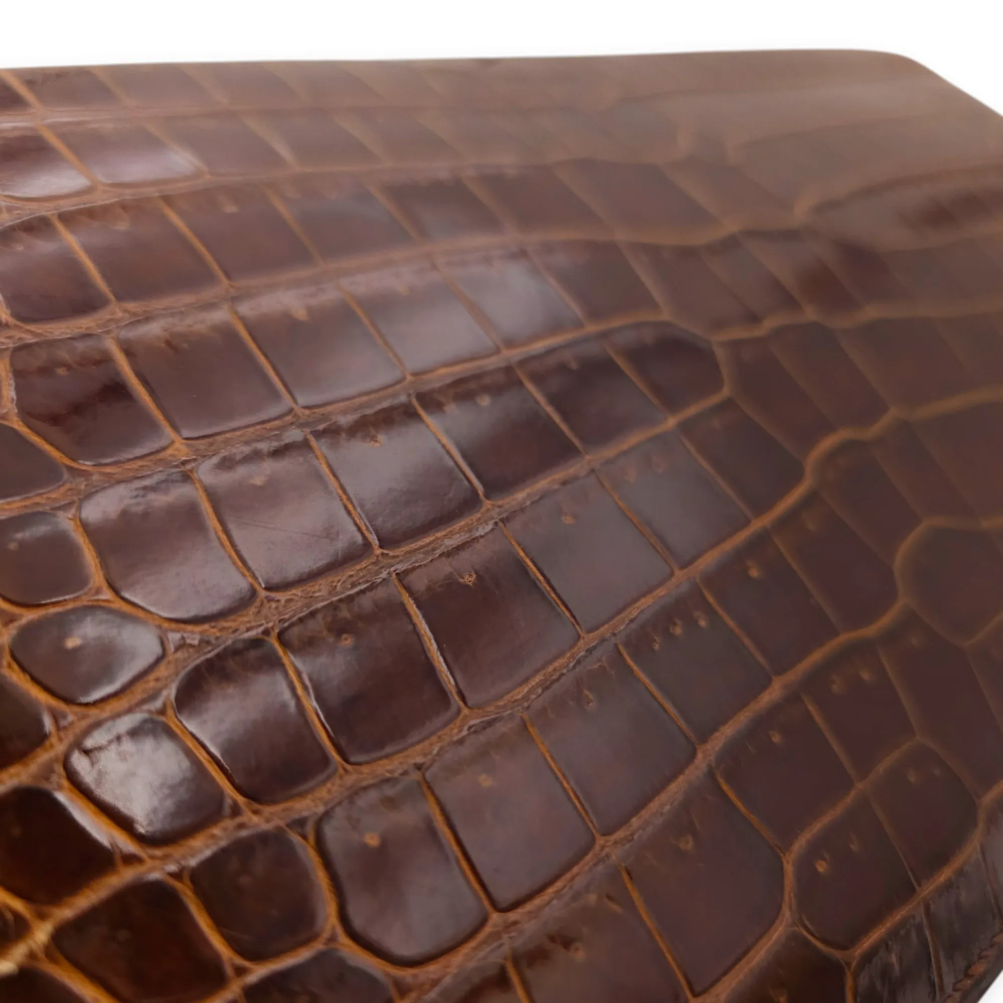 Constance Elan Terre in Shiny Porosus, Palladium hardware