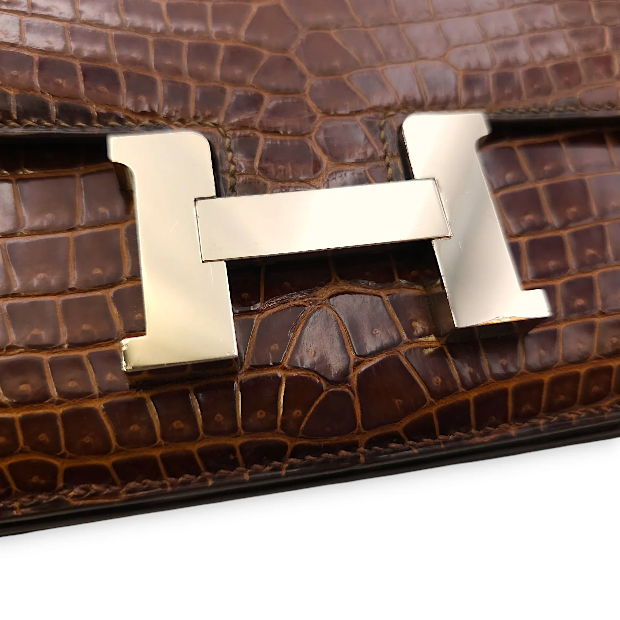 Constance Elan Terre in Shiny Porosus, Palladium hardware